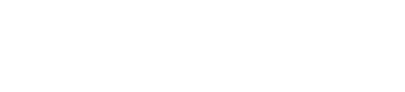 Marca de Universidade Federal do Pará